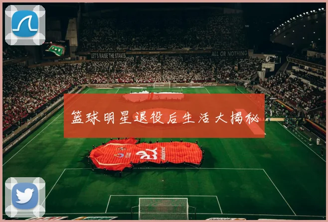 篮球明星退役后生活大揭秘